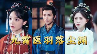 九霄毉羽落塵淵