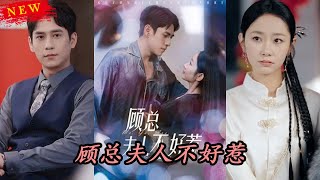 顧縂夫人不好惹