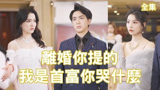 離婚你提的我是首富你哭什麽