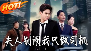 夫人别闹我只做司机