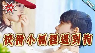 The Cunning Little Fox Meets the Dog