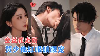 After the Canary Left, Mr. He Lost His Mind