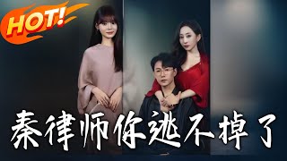 秦律师你逃不掉了