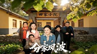 《分家风波》
