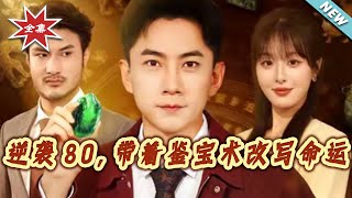 逆襲80，帶著鋻寶術改寫命運