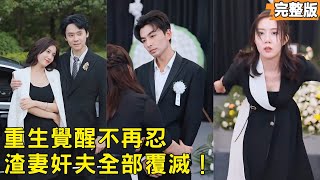 重生三年前：复仇逆袭局