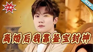 After Divorce, I Became a Treasure Appraisal Legend