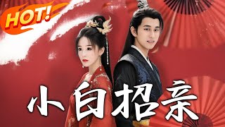 《小白招亲》