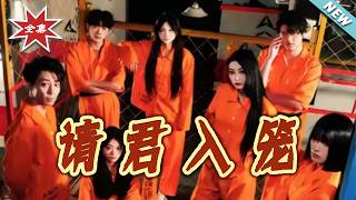 【大结局完整版】《请君入笼》第1~50集