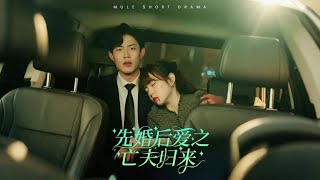 先婚後愛之亡夫歸來