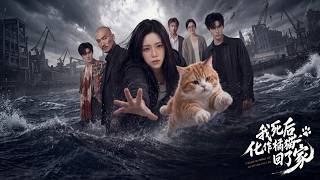 我死后化作橘猫回了家