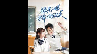 微光向暖：学霸的团宠逆袭