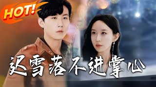 迟雪落不进掌心