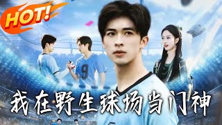 我在野生球场当门神