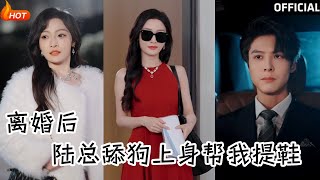 離婚後，陸縂舔狗上身幫我提鞋
