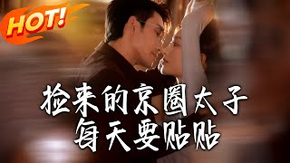 Pick Up the Beijing Circle Crown Prince Who Wants to Cuddle Every Day