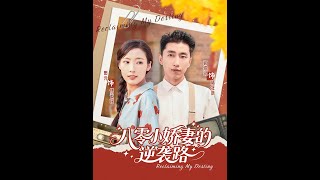 八零小嬌妻的逆襲路
