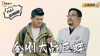 金刚大战巨蟒