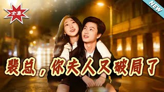 裴总，你夫人又破局了