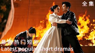 Flame Hidden Dragon: A Youth's Path to Destiny