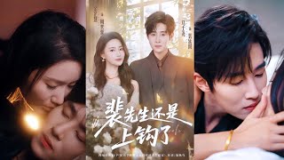 裴先生还是上钩了