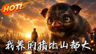 我養的豬比山都大