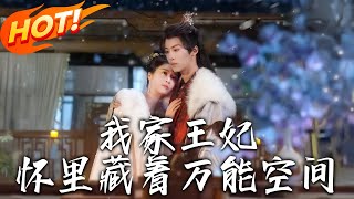 我家王妃懷裏藏著萬能空間