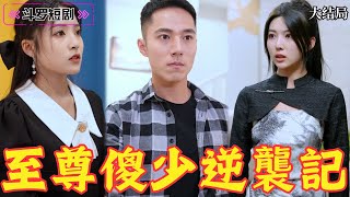 至尊傻少逆襲記
