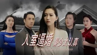 入室逼婚：秦总太认真