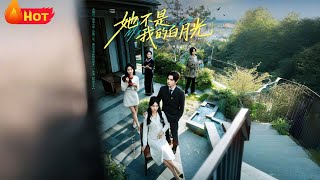 她不是我的白月光