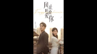 【MULTI SUB】《风止时说爱你》【短剧合集】