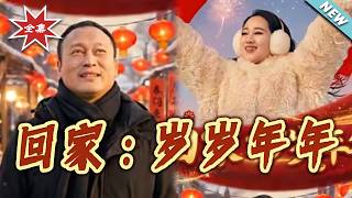 回家：岁岁年年