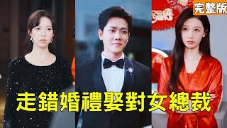 未婚妻逃婚当天，我娶了千亿总裁