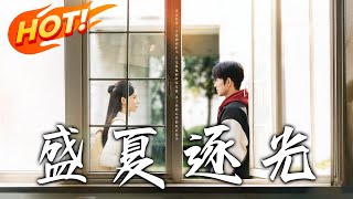 盛夏逐光