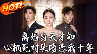离婚当天才知心机死对头暗恋我十年