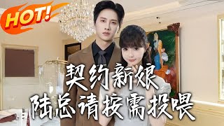 契约新娘：陆总请按需投餵