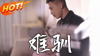 难驯