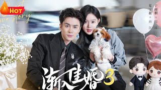 【高清全集】 《 渐入佳婚3第三部》第1~60集
