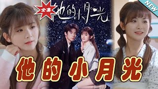 他的小月光：都市甜寵之旅