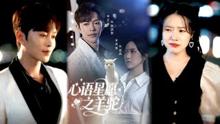 【完整版】《心语星愿之羊驼》他死后变成羊驼，守在失忆女友的相亲现场。直到某天，她突然摸着它的头流泪：