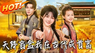 天降盲盒，我在古代成首富