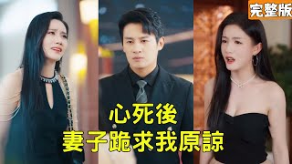 離婚後，我成了她高攀不起的人