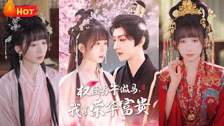 穿越女的替嫁之路：從小透明到官員夫人