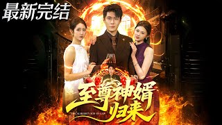 至尊神婿归来
