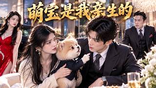 霸总遇萌娃竟是亲生子