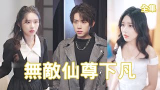 無敵仙尊逆襲記