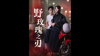 野玫瑰之刃：都市愛情的霸縂傳奇