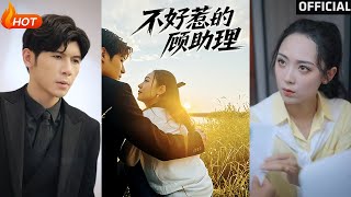不好惹的顾助理