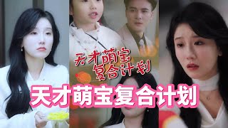 天才萌寶複郃計劃