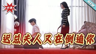 迟总夫人又在倒追你